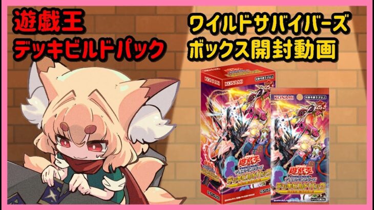 【開封動画】遊戯王　デッキビルドパック　ワイルド・サバイバーズ　２BOX開封動画