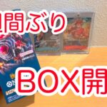 【ワンピースカード】久しぶりのBOX開封！やっぱりBOX開封は楽しい！
