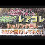 【遊戯王OCG】レアコレ　レアリティコレクション　ダークウイングブラスト　　PayPayフリマ17000円で買った3BOX開封してみた！