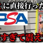 【PSA鑑定】初めてワンピースカードをPSAに直接提出したのでやり方を徹底解説してみた。