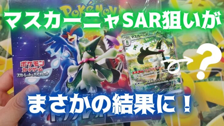 【ポケカ開封】マスカーニャSAR狙いで息子とトリプレットビート１BOX開封したら、まさかの結果に！！