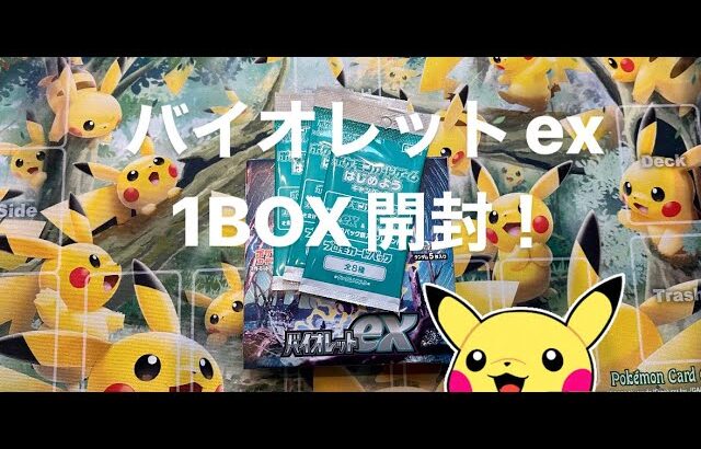 【ポケカ】バイオレットex 1BOX開封！ミモザ、、、。