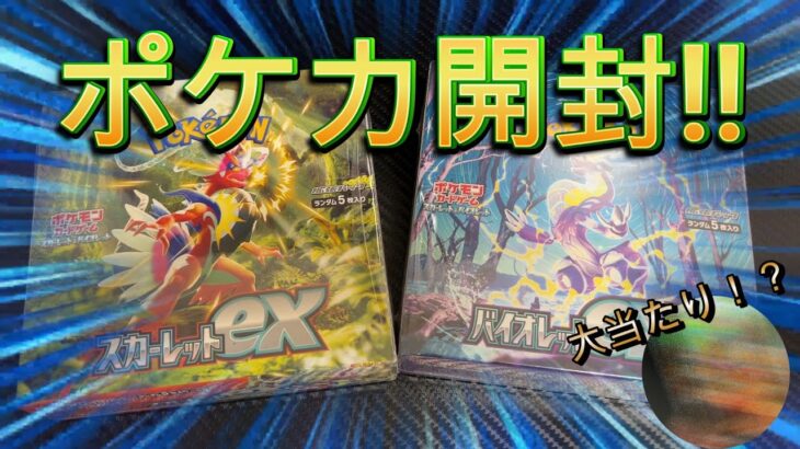 【ポケカ開封】ポケモンカードスカーレットex バイオレットex開封したら、大当たり！？【開封動画 実写動画】