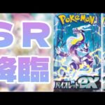 【ポケカ】売り切れ続出大人気パック！！！バイオレットexBOX開封🎉🎉🎉サポートのSRキタァア！！ミモザ来てくれぇぇええて#ポケカ #ポケモン #ポケモンカード #pokemon