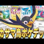 【ポケカ】不正だらけのイカサマ鳥ポケモンデッキで対戦したら愛の戦士は指摘できるのか？？～超だんけつのつばさカイデンデッキ～【対戦動画】