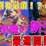 【遊戯王】新弾 デッキビルドパック ワイルド・サバイバーズ 悪魔的開封！！