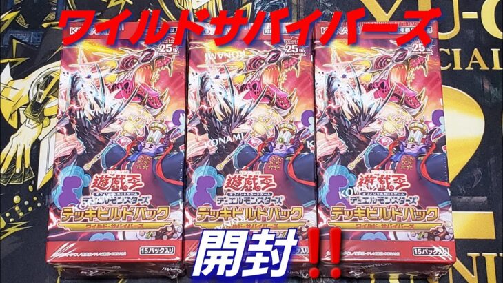 【遊☆戯☆王】遊戯王「ワイルド・サバイバーズ」開封‼️まさかの引き⁉️