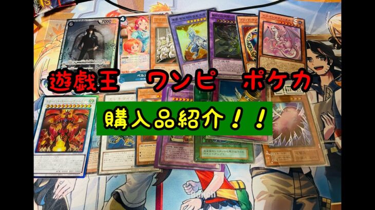 【遊戯王】購入品をいっぱい紹介するぞおおおお！【ワンピース】【ポケカ】