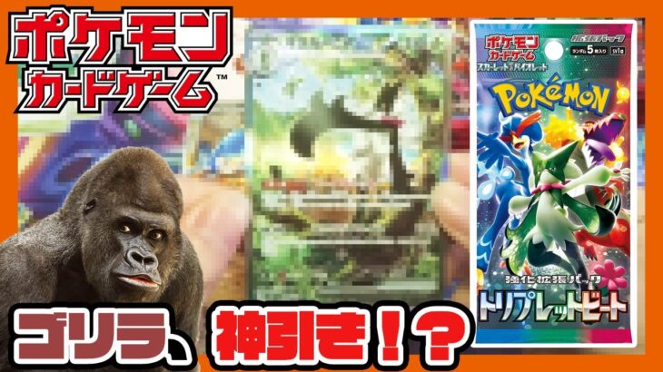 【ポケモンカード】ゴリラがトリプレットビート開封したらまさかの神引きしたwww