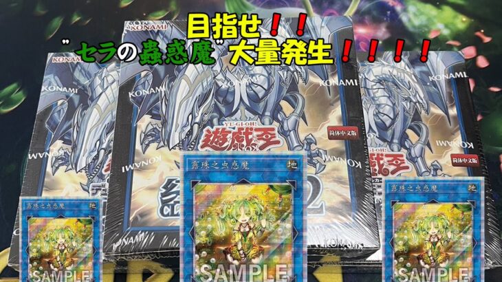 遊戯王開封！！セラの蟲惑魔プリシクブチ抜きたい🤲中国版クラシックパック経典包02！！#遊戯王 #開封動画 #box開封