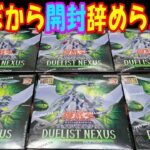 【遊戯王】ついに12期！デュエリストネクサス 6Box開封【あかさたトマト】