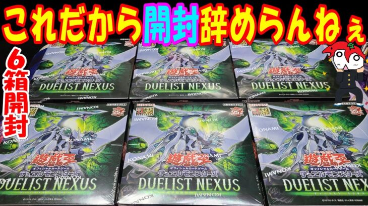 【遊戯王】ついに12期！デュエリストネクサス 6Box開封【あかさたトマト】