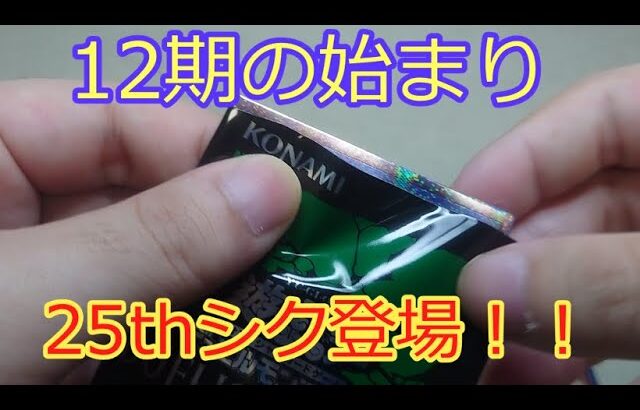 【#遊戯王】デュエリストネクサス 垂れ流し開封 1箱【#25周年】