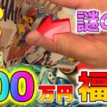 【ポケカ】200万円の高額福袋を開封したらピカチュウ軍団襲来！？エモすぎて感動の嵐！！【ポケモンカード】