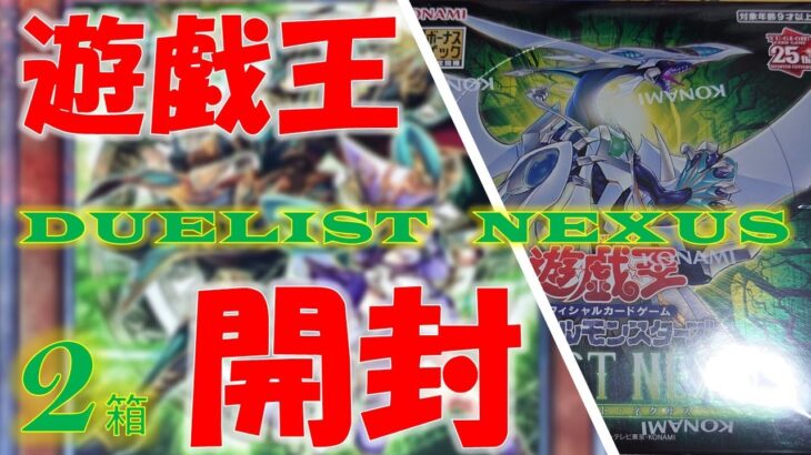 【遊戯王】地獄？それとも天国？地獄の3BOX「デュエリスト・ネクサス」開封を乗り越えたその先には何が待つ！？