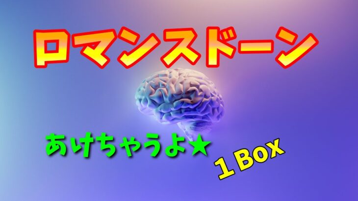 【ワンピースカード】第１弾ロマンスドーン開封★１BOX★