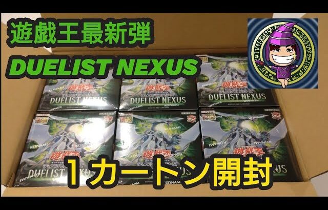 【遊戯王】『最新弾デュエリスト・ネクサス  １カートン開封！！』#BOX開封 #カートン開封 #遊戯王 #デュエリストネクサス #DUELIST NEXUS