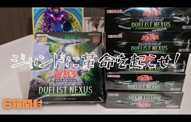 【遊戯王】DUELIST NEXUS ６箱チャレンジ【開封】