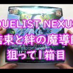 【遊戯王】DUELIST NEXUS　開封1箱目