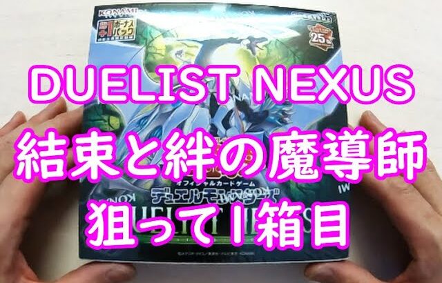 【遊戯王】DUELIST NEXUS　開封1箱目