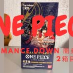 【ワンピースカード開封】ONE PEACE ROMANCE DAWN2箱目開封してみました！