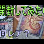 「duelist nexus」 4BOX開封した