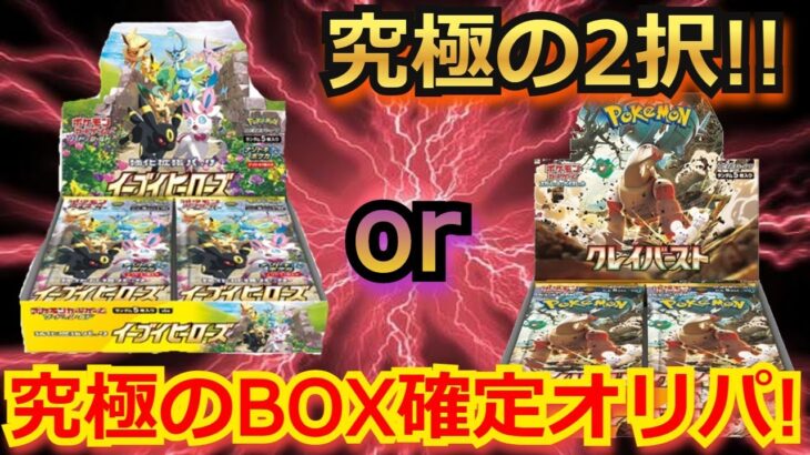 【ポケカ】イーブイヒーローズorクレイバースト!!究極の2択！1口 5万円の究極のBOX確定オリパ！【ポケモンカード】【絶版】【高額】【高騰】【オリパ】