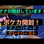 【ポケカ】【開封動画】こんチャンネル　スノーハザード　クレイバースト　プレゼント企画実施中　ポケモン　ポケモンカード　pokémon pokémoncards [ツイキャス] 配信分