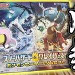 【ポケカ】ナンジャモのサプライが可愛い「スノーハザード＆クレイバースト ポケモンセンタージムセット」を開けていく男【開封】【ポケモンカード】