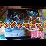 【開封動画】ポケカ、ナンジャモセットを開封する！