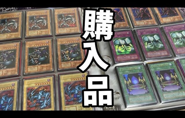 【遊戯王】ファイル完成目前！初期カード大量購入！