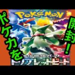 ポケモンカード トリプレットビート開封！！