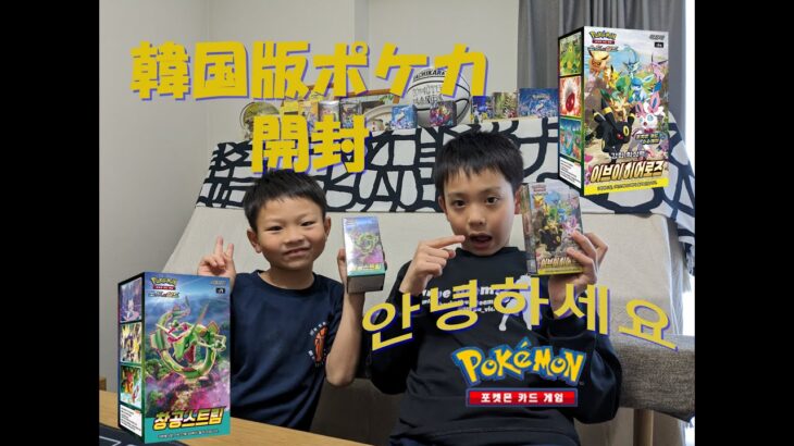 韓国版ポケモンカード開封 イーブイヒーローズ、蒼空ストリーム