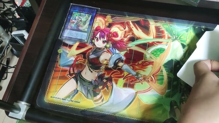 【遊戯王】デュエリストネクサス　開封