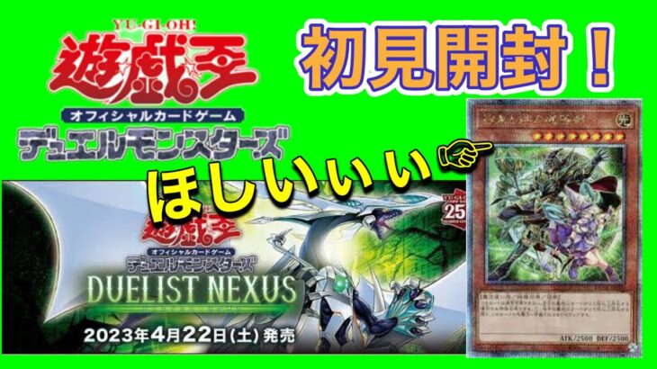 【遊戯王-デュエリスト・ネクサス-開封】〜とにかく当てたいカードがあるけど相性悪くて泣けてくる〜