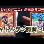 【遊戯王】シャトルラン開封！アメイジング・ディフェンダーズ