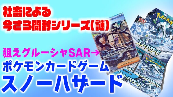 #1【ポケモンカードゲーム】社畜によるポケモンカード開封！(今さら) スノーハザードのトップレアを狙う！※普通に残念な結果です