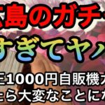 【遊戯王】広島のカドショで回した1000円ガチャが強すぎて戦慄した件について