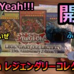 【遊戯王】神の25thカードが当たるレジェンダリーコレクションを2箱開封してみた「Legendary Collection: 25th Anniversary Edition」【#開封】