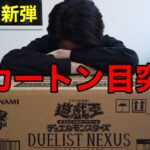 【遊戯王】新弾デュエリストネクサス3カートン目を開封（リベンジのリベンジ）