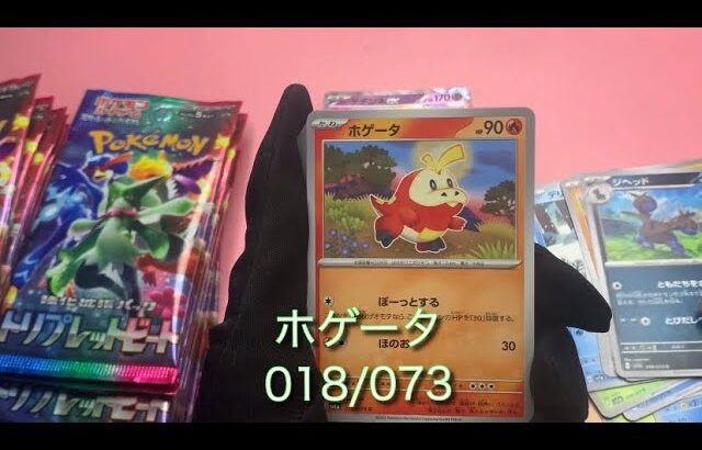 ポケモンカードトリプレットビート開封42日目(ラスト)