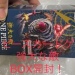 ワンピースカードゲーム強大な敵
BOX開封🤩