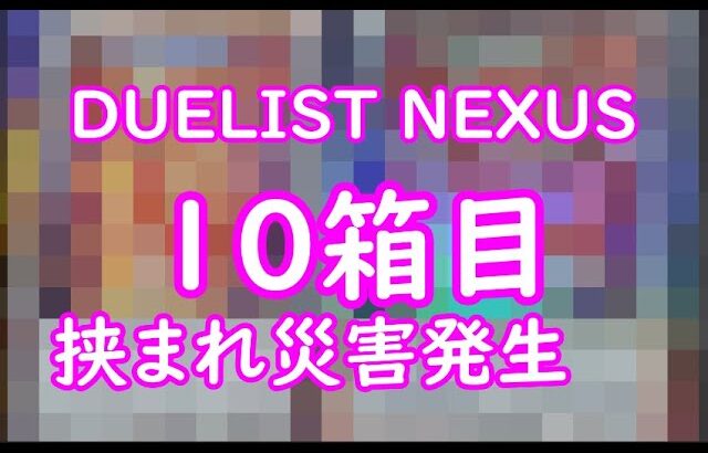 【遊戯王】DUELIST NEXUS　10箱目開封致します。挟まれ災害発生