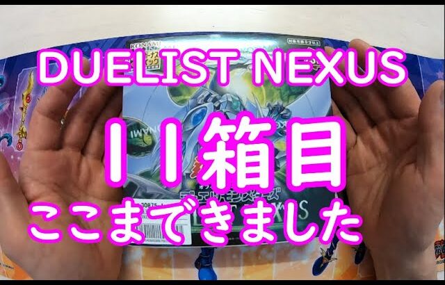 【遊戯王】DUELIST NEXUS　11箱目開封してしまいました