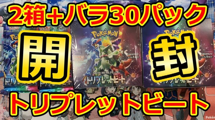 開封【ポケモンカード】SARキハダ引きたい！2箱+バラ30パック  トリプレットビート開封