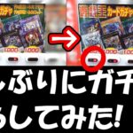 【遊戯王】久しぶりにドラスタさんのガチャを一列枯らしてみました！（YU-GI-OH! OCG）