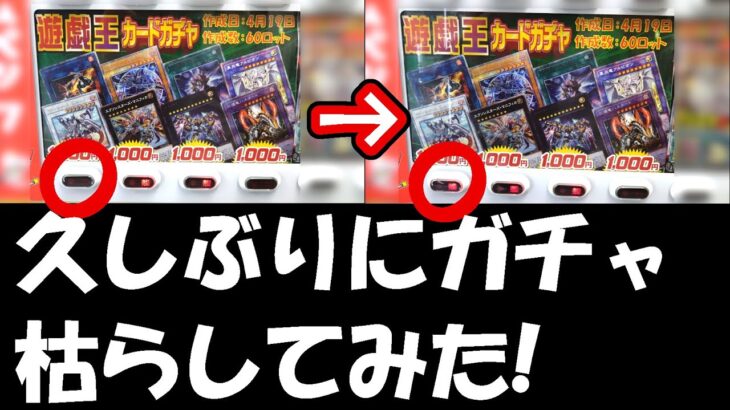 【遊戯王】久しぶりにドラスタさんのガチャを一列枯らしてみました！（YU-GI-OH! OCG）