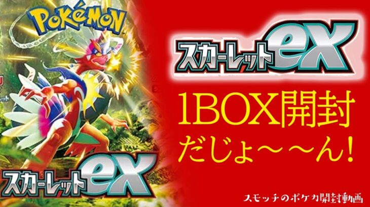 【ポケカ】スカーレットexを1BOX開封！だじょ～～～ん！！【開封動画】