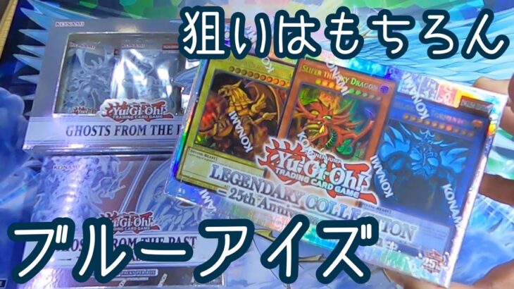 【遊戯王】大阪遠征を青眼の白龍で締めくくれ！【海外版】