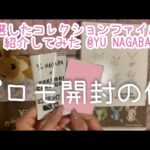 【開封動画】プロモ＆イーブイズコレクションファイル紹介してみた【ポケカ】